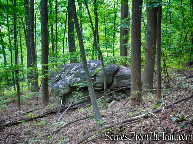 Blue Trail - Snake Hill