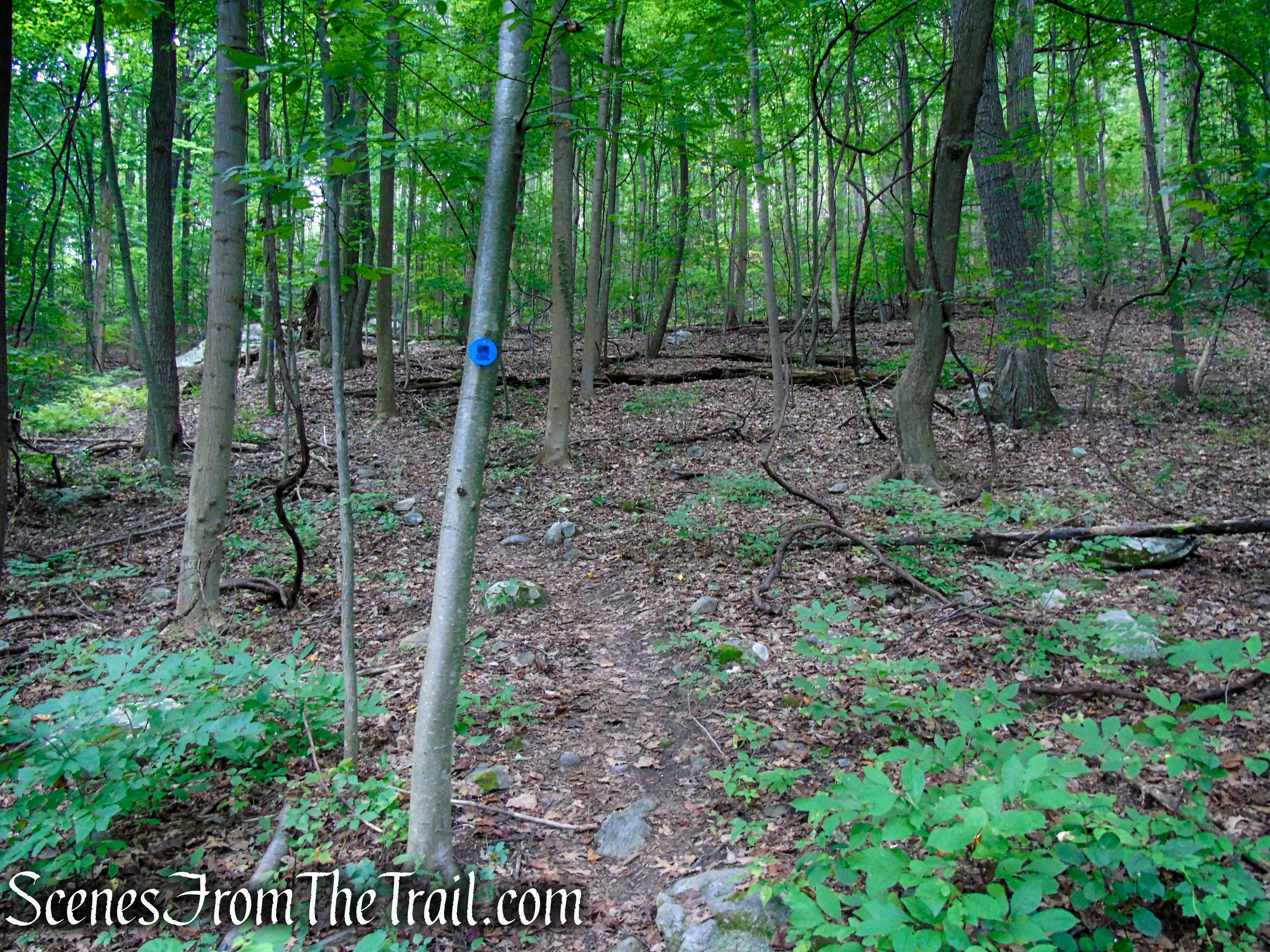 Blue Trail - Snake Hill