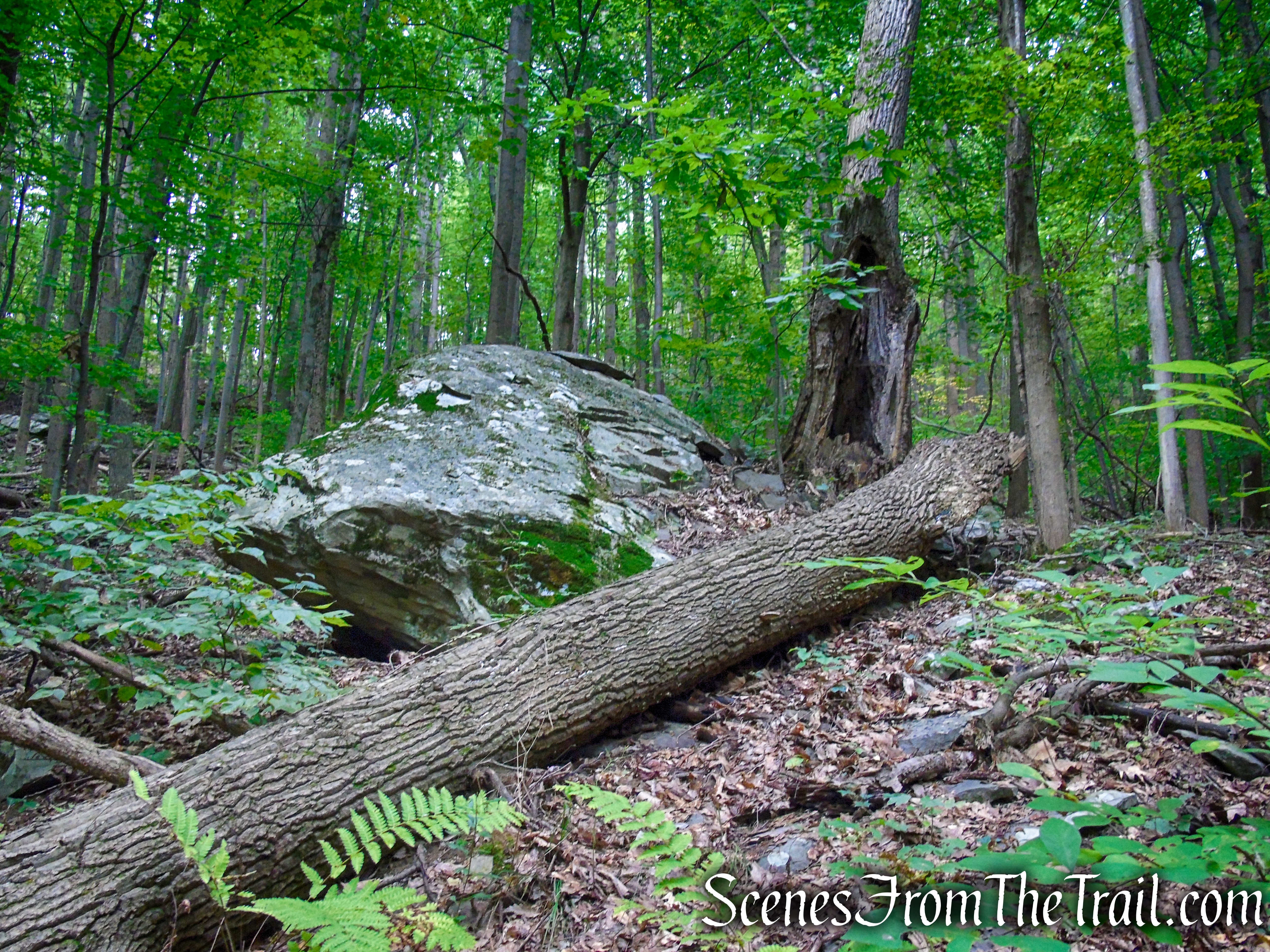 Blue Trail - Snake Hill