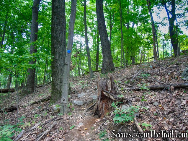 Blue Trail - Snake Hill