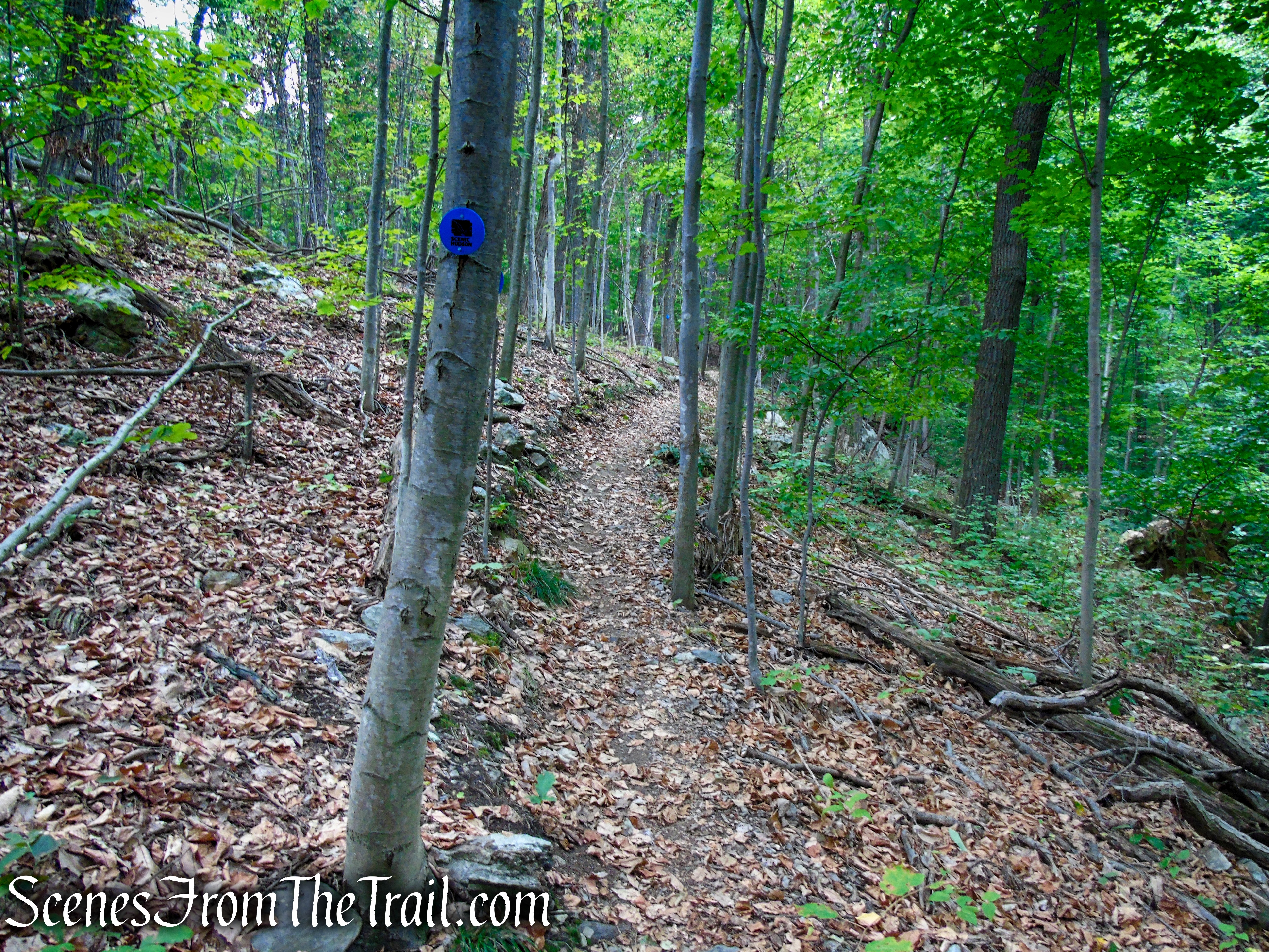 Blue Trail - Snake Hill