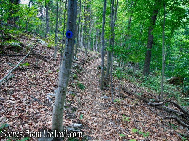 Blue Trail - Snake Hill