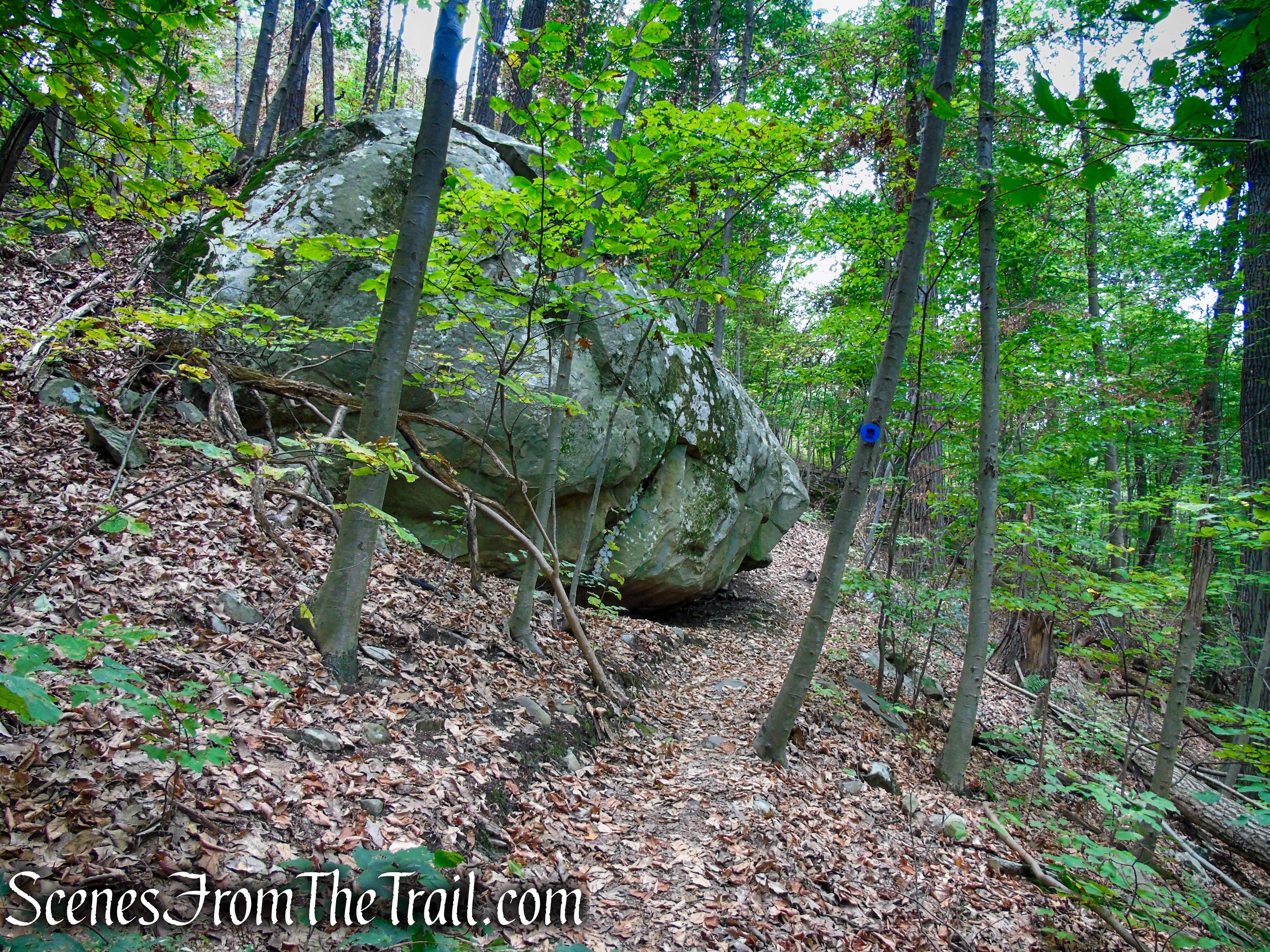 Blue Trail - Snake Hill