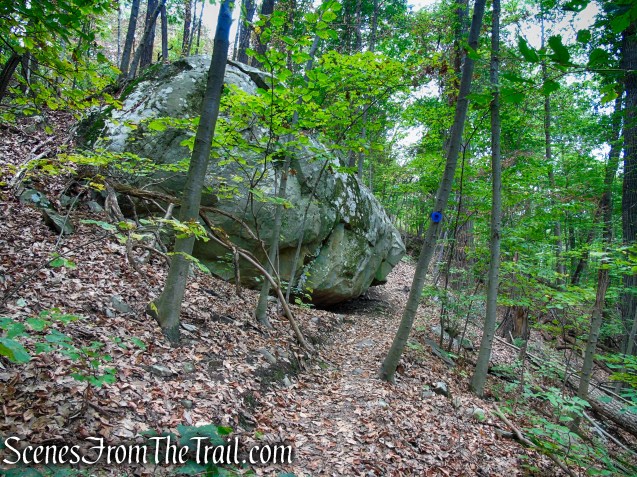 Blue Trail - Snake Hill