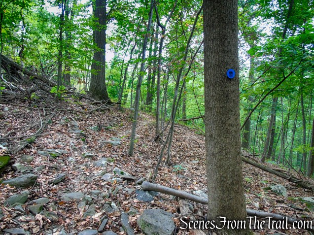 Blue Trail - Snake Hill