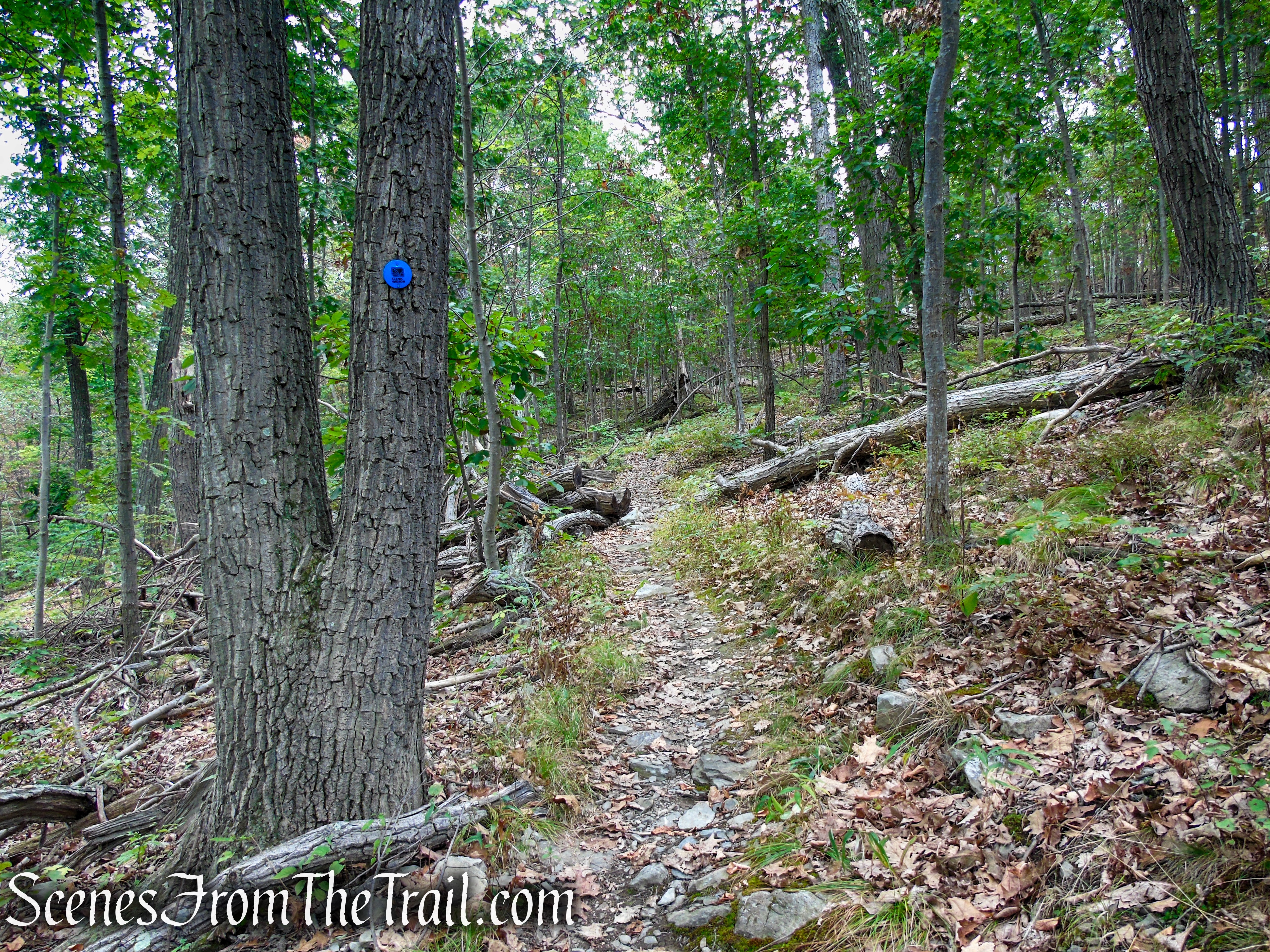 Blue Trail - Snake Hill