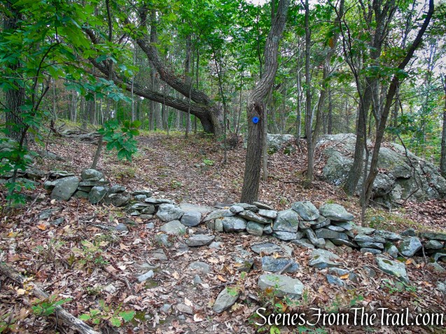 Blue Trail - Snake Hill