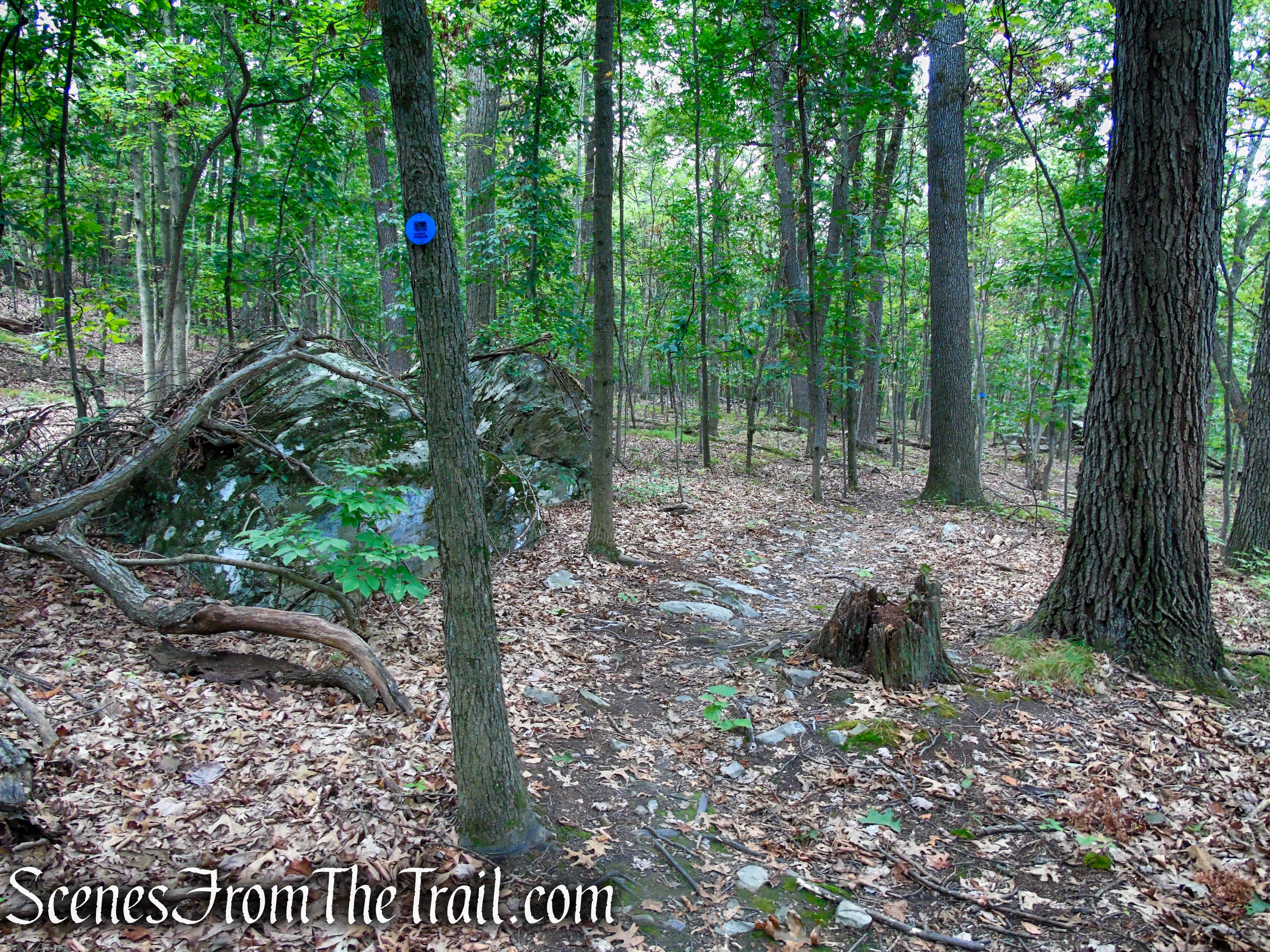 Blue Trail - Snake Hill