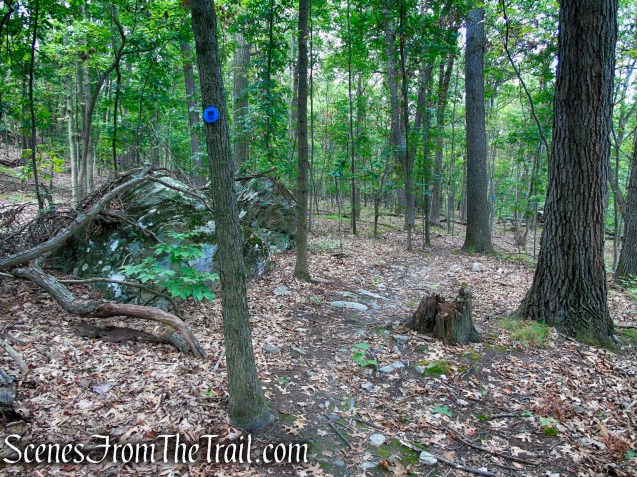 Blue Trail - Snake Hill