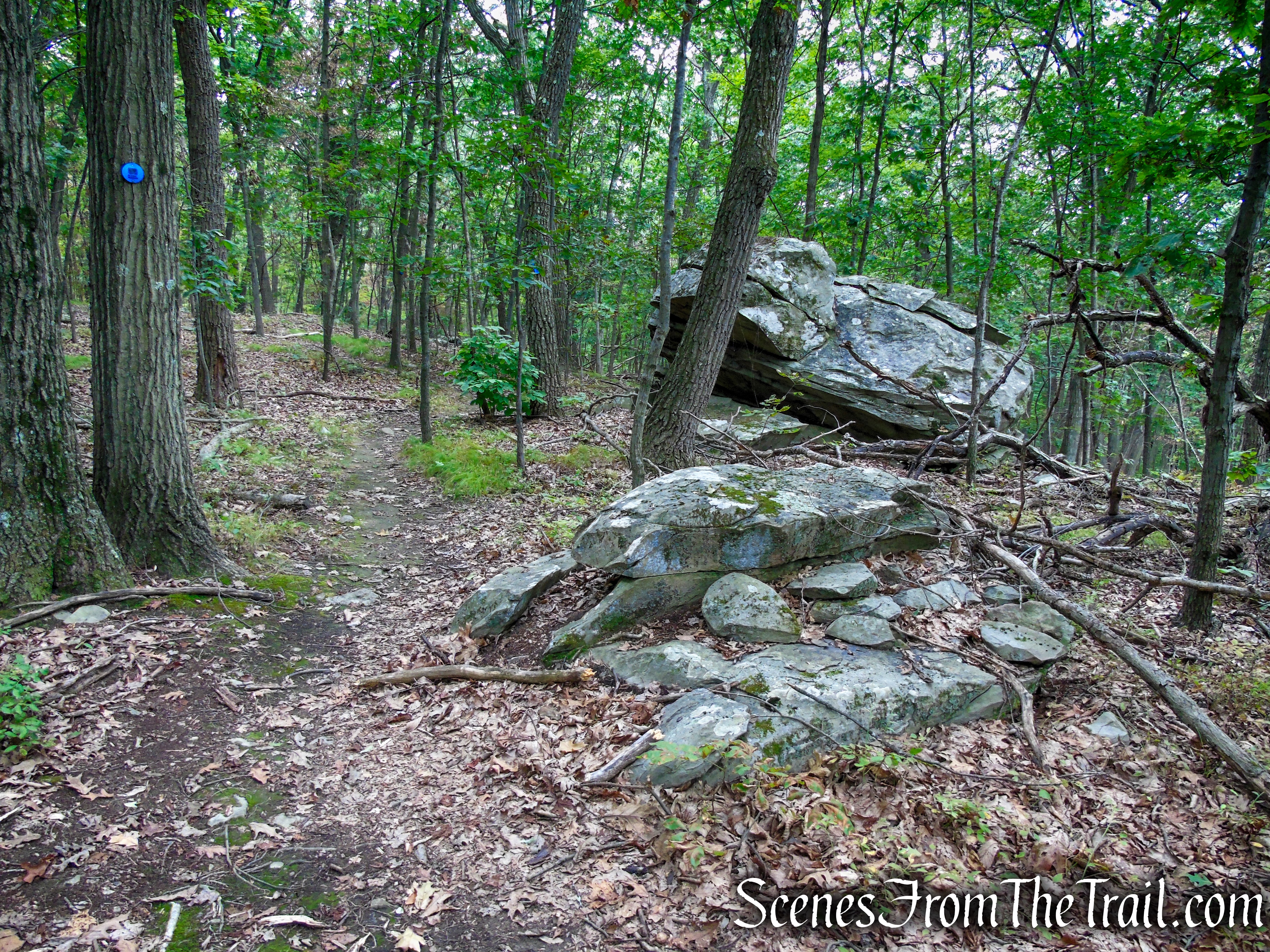 Blue Trail - Snake Hill