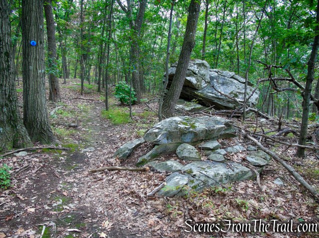Blue Trail - Snake Hill