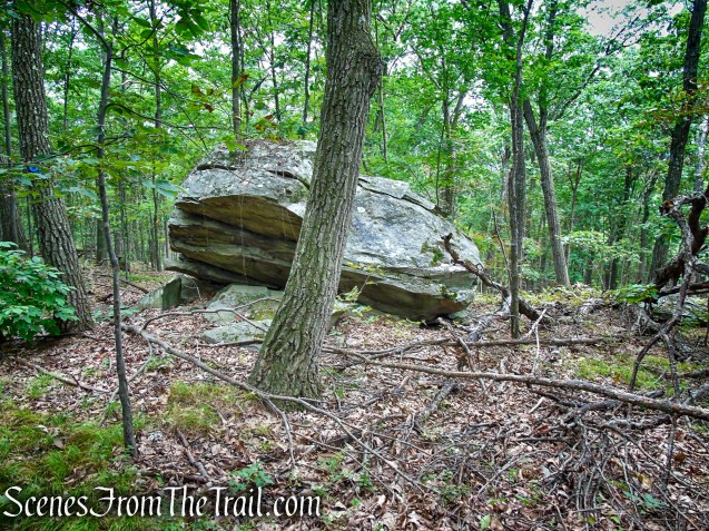 Blue Trail - Snake Hill