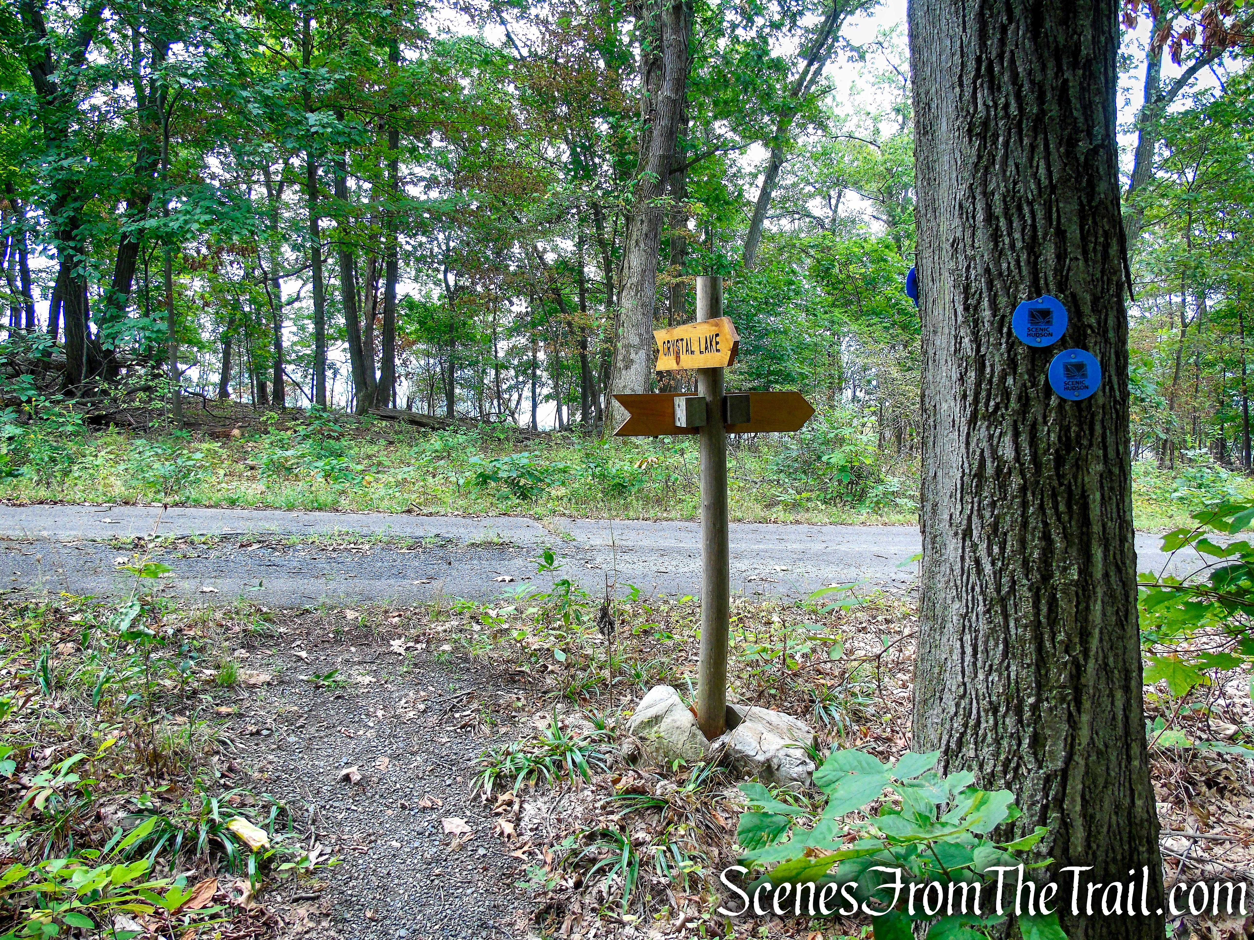 Turn left on paved road