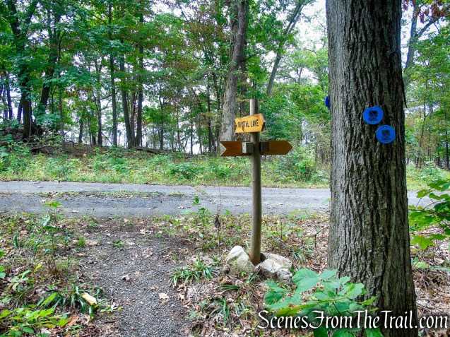Turn left on paved road