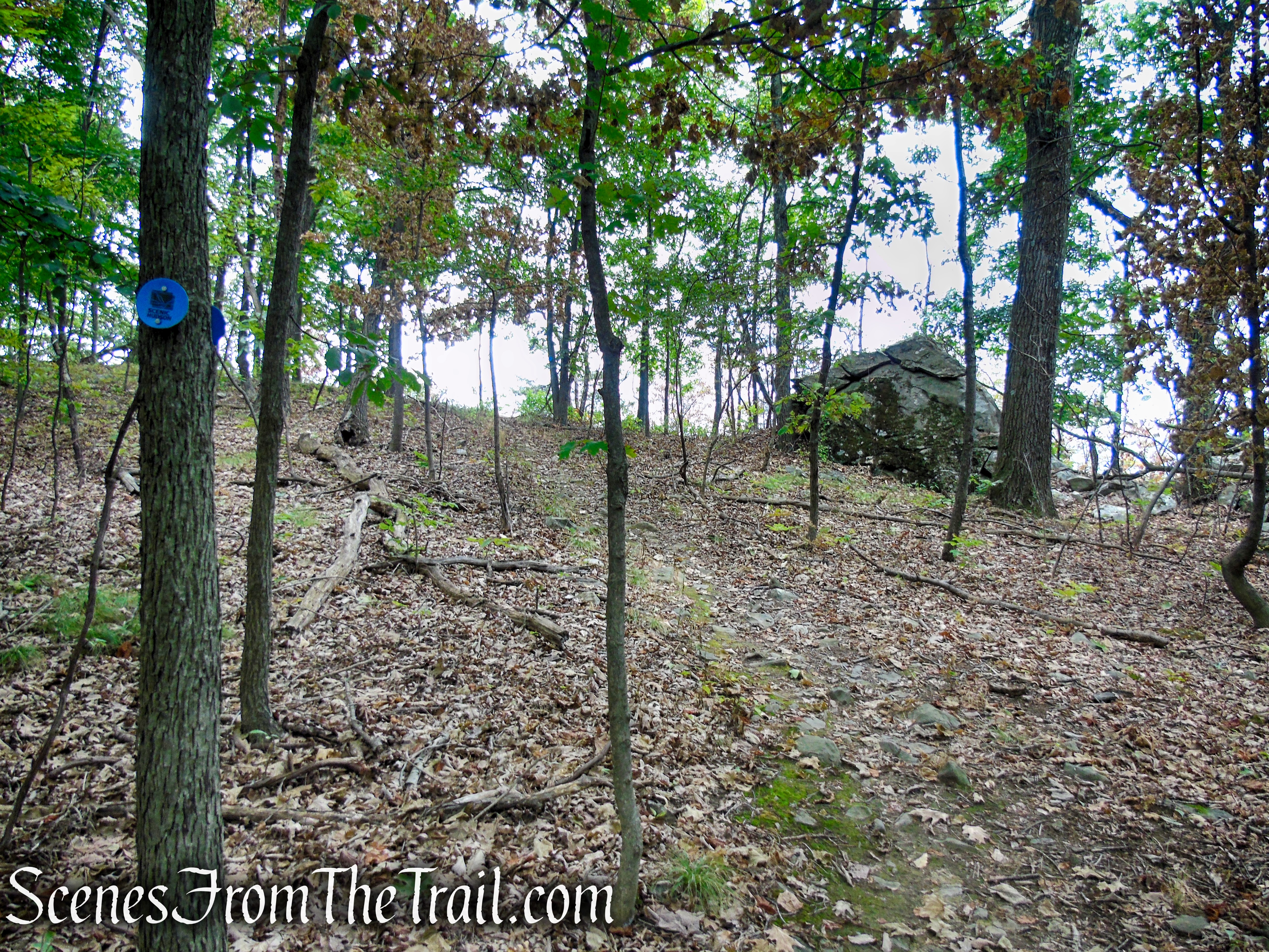 Blue Trail - Snake Hill