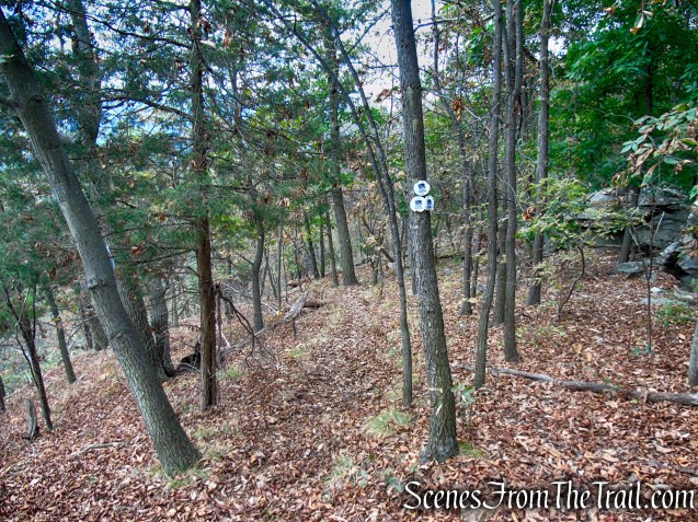 White Trail - Snake Hill