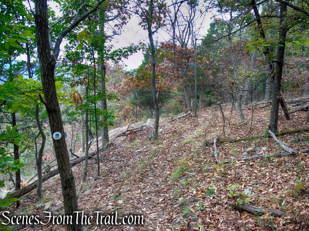 White Trail - Snake Hill