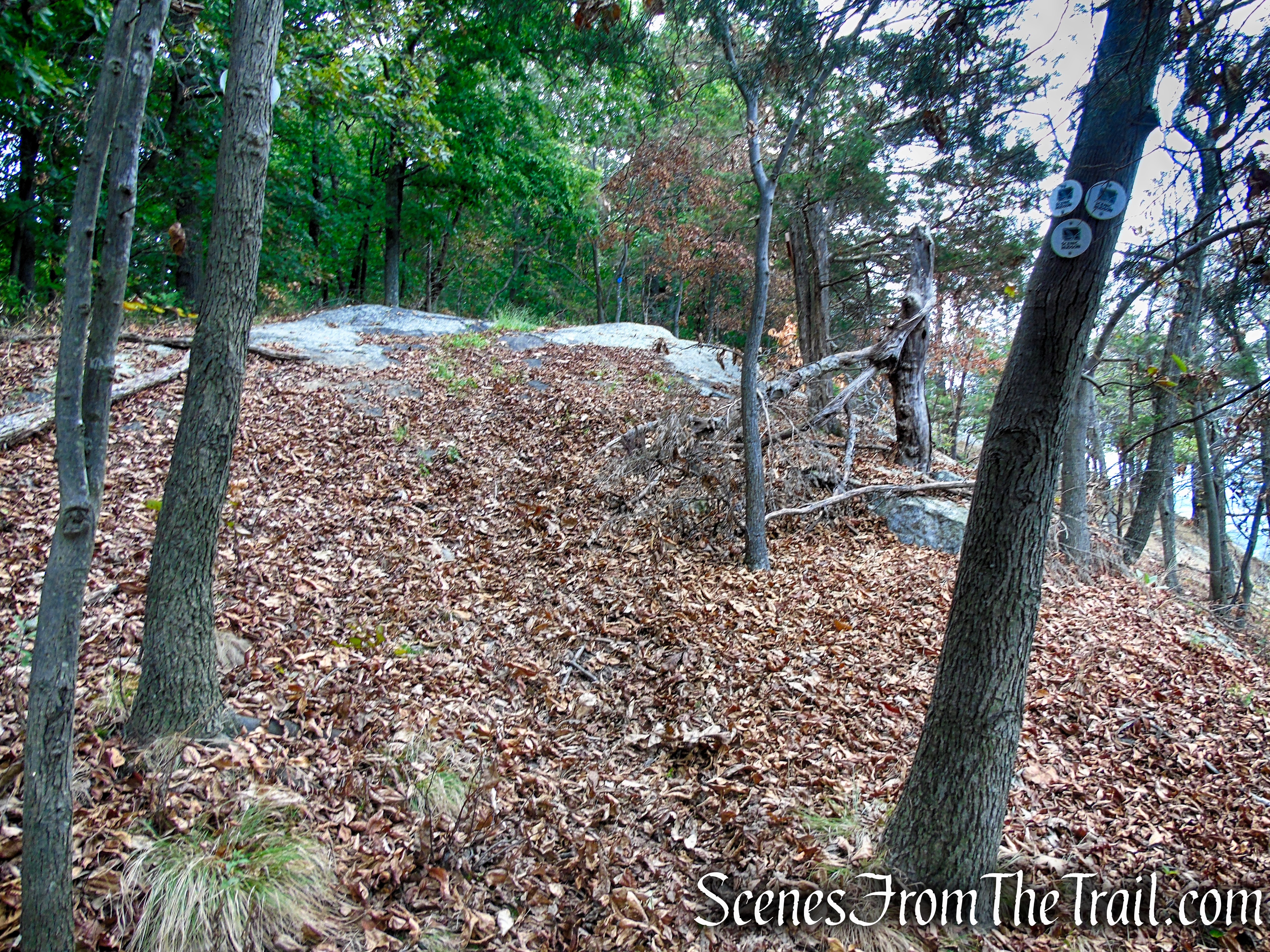 End of White Trail – Snake Hill