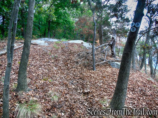 End of White Trail – Snake Hill