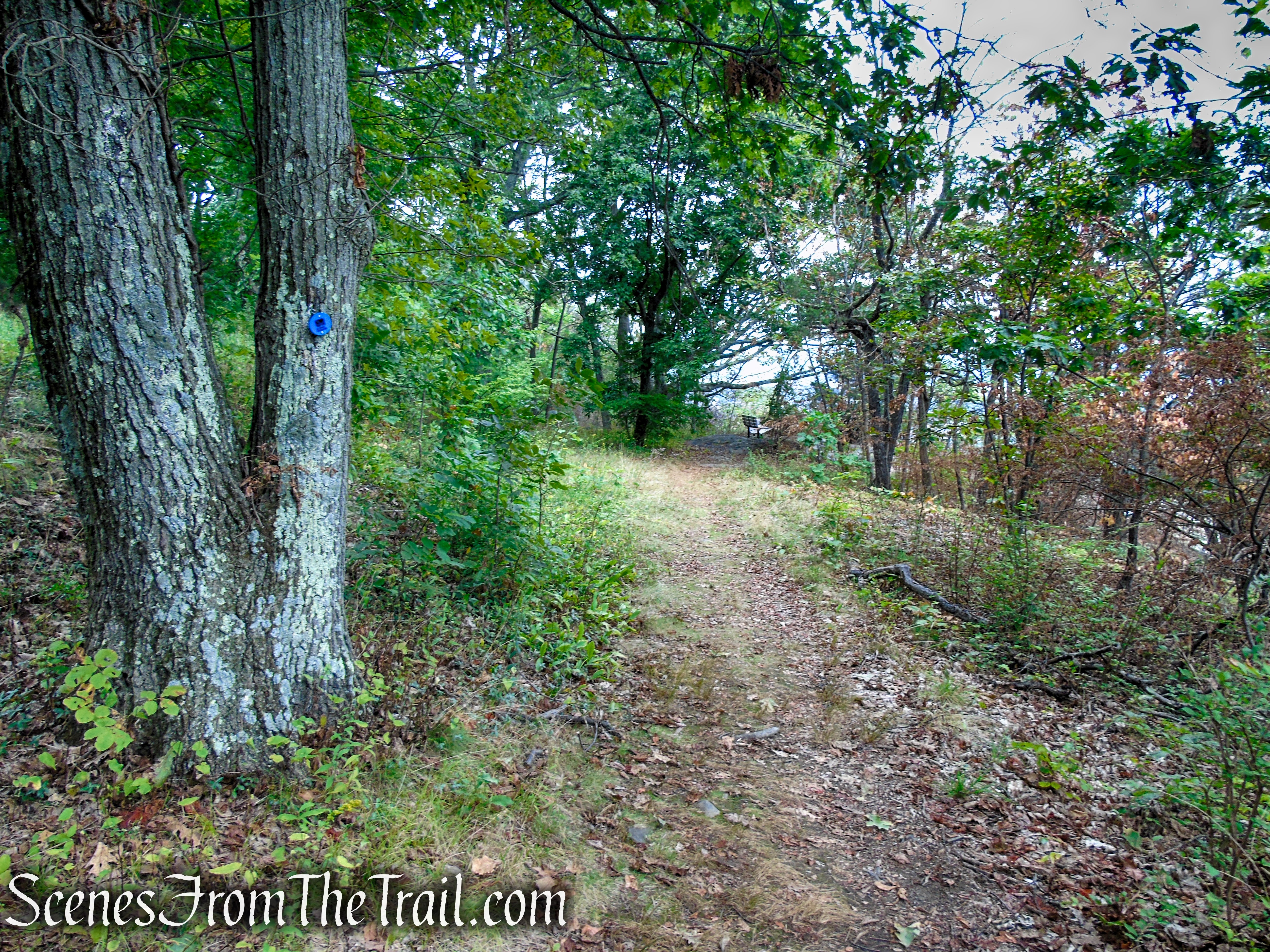 Blue Trail – Snake Hill