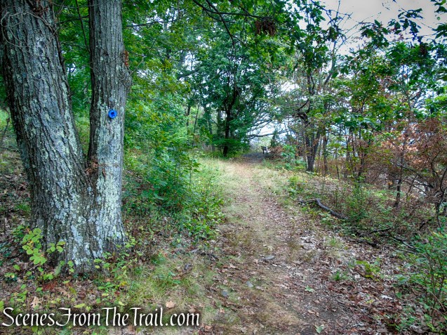 Blue Trail – Snake Hill