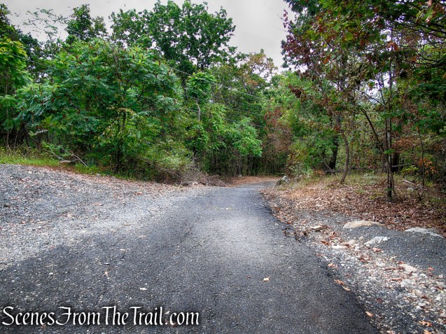 Access road - Snake Hill