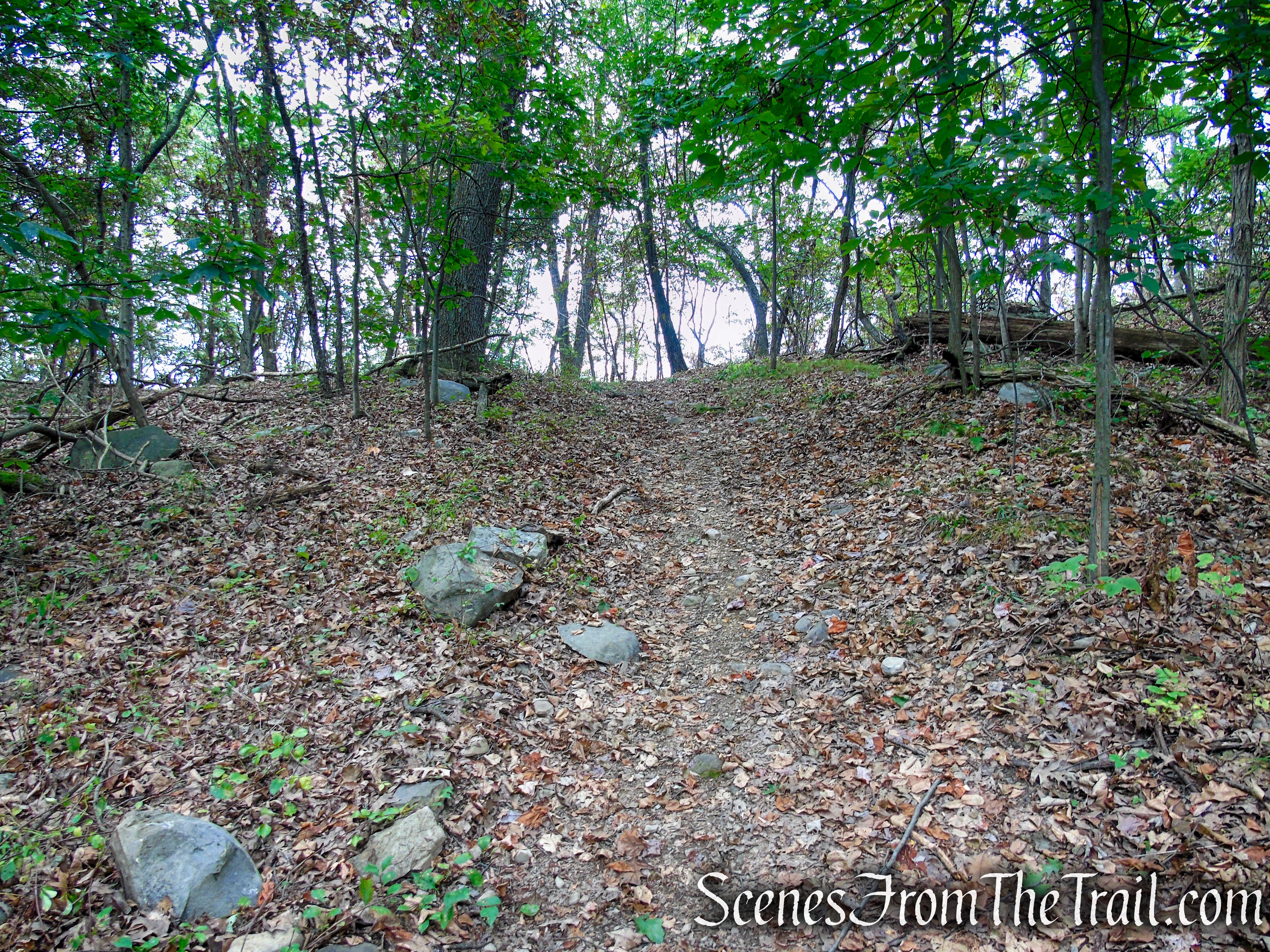 Yellow Trail – Snake Hill
