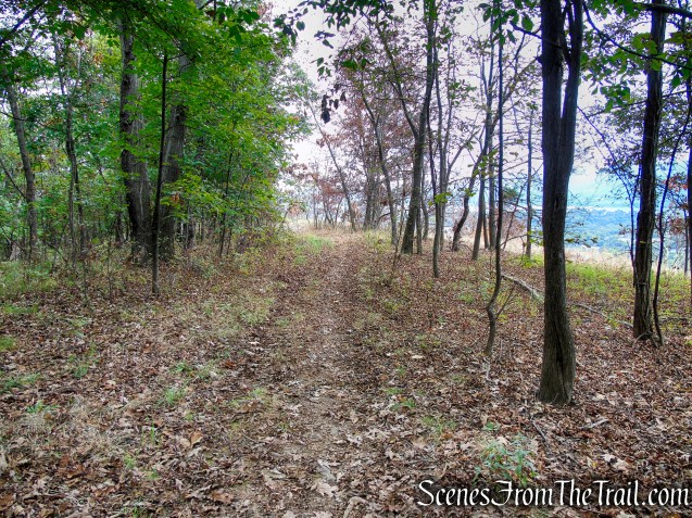 Yellow Trail – Snake Hill