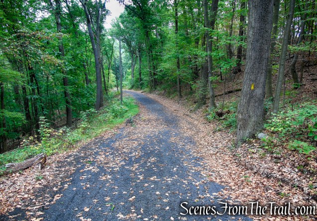 Yellow Trail – Snake Hill