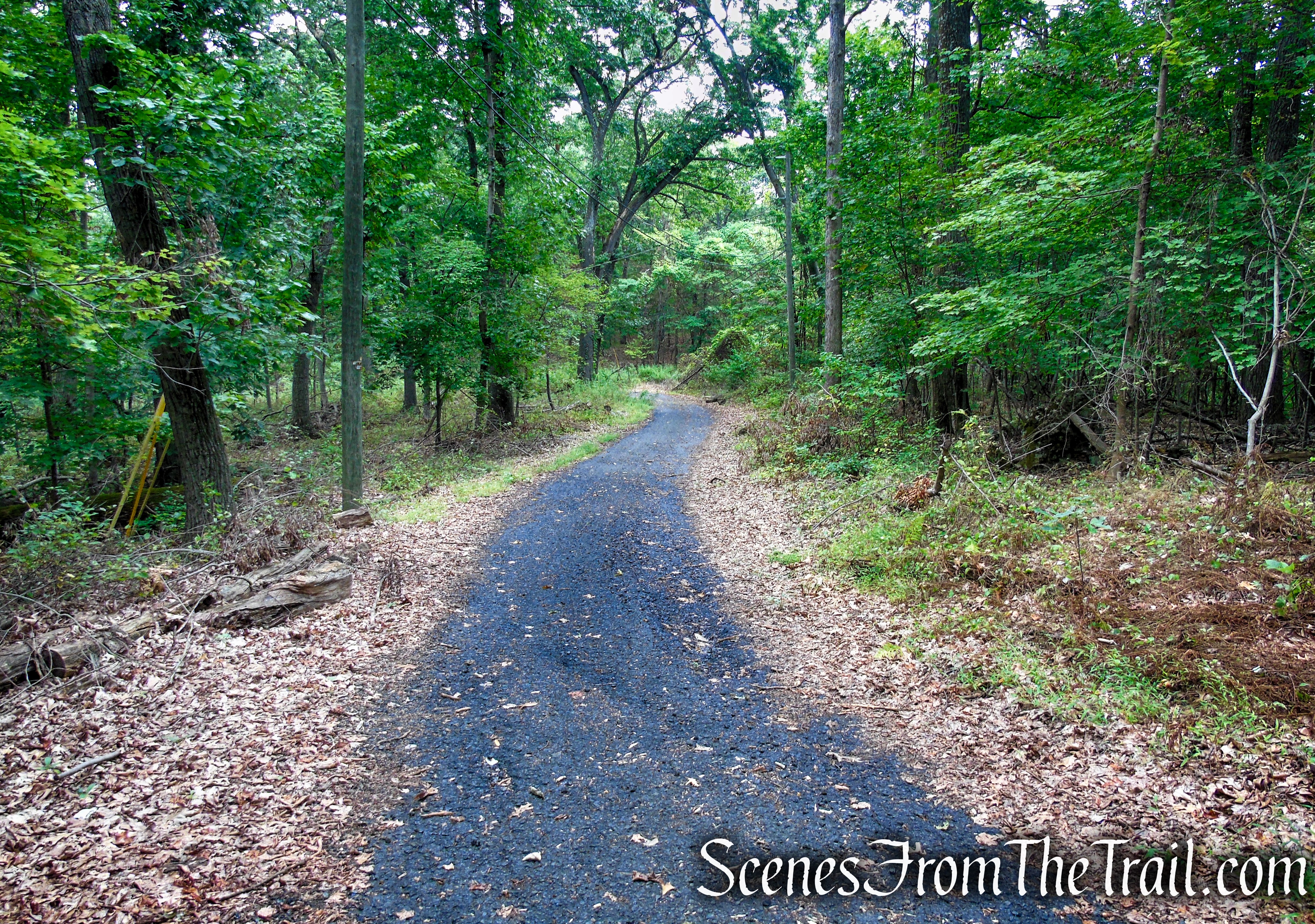 Yellow Trail – Snake Hill