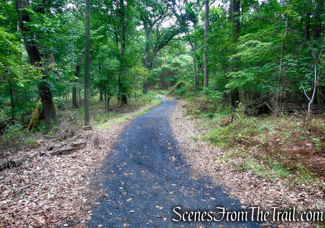 Yellow Trail – Snake Hill