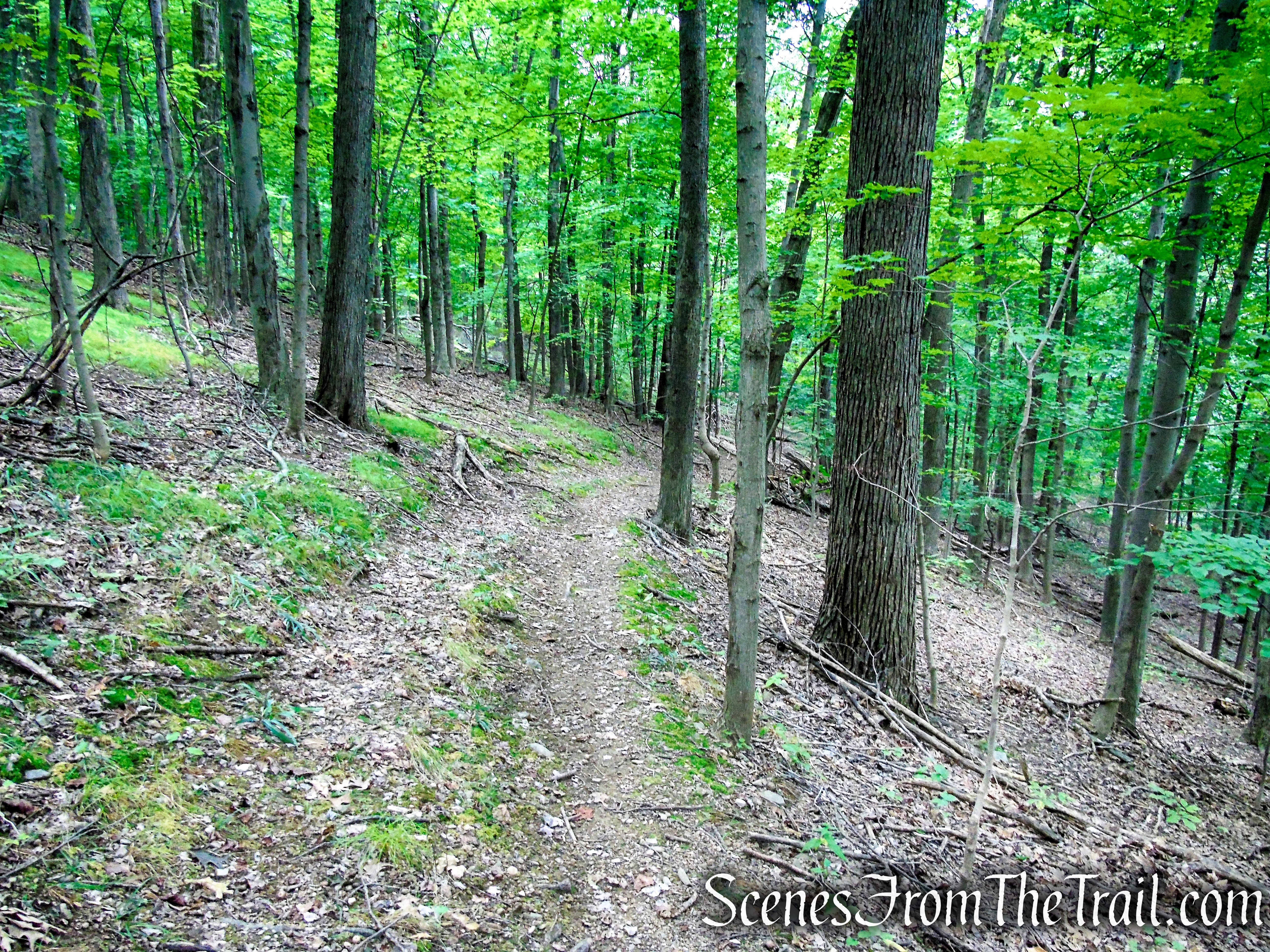 Yellow Trail – Snake Hill