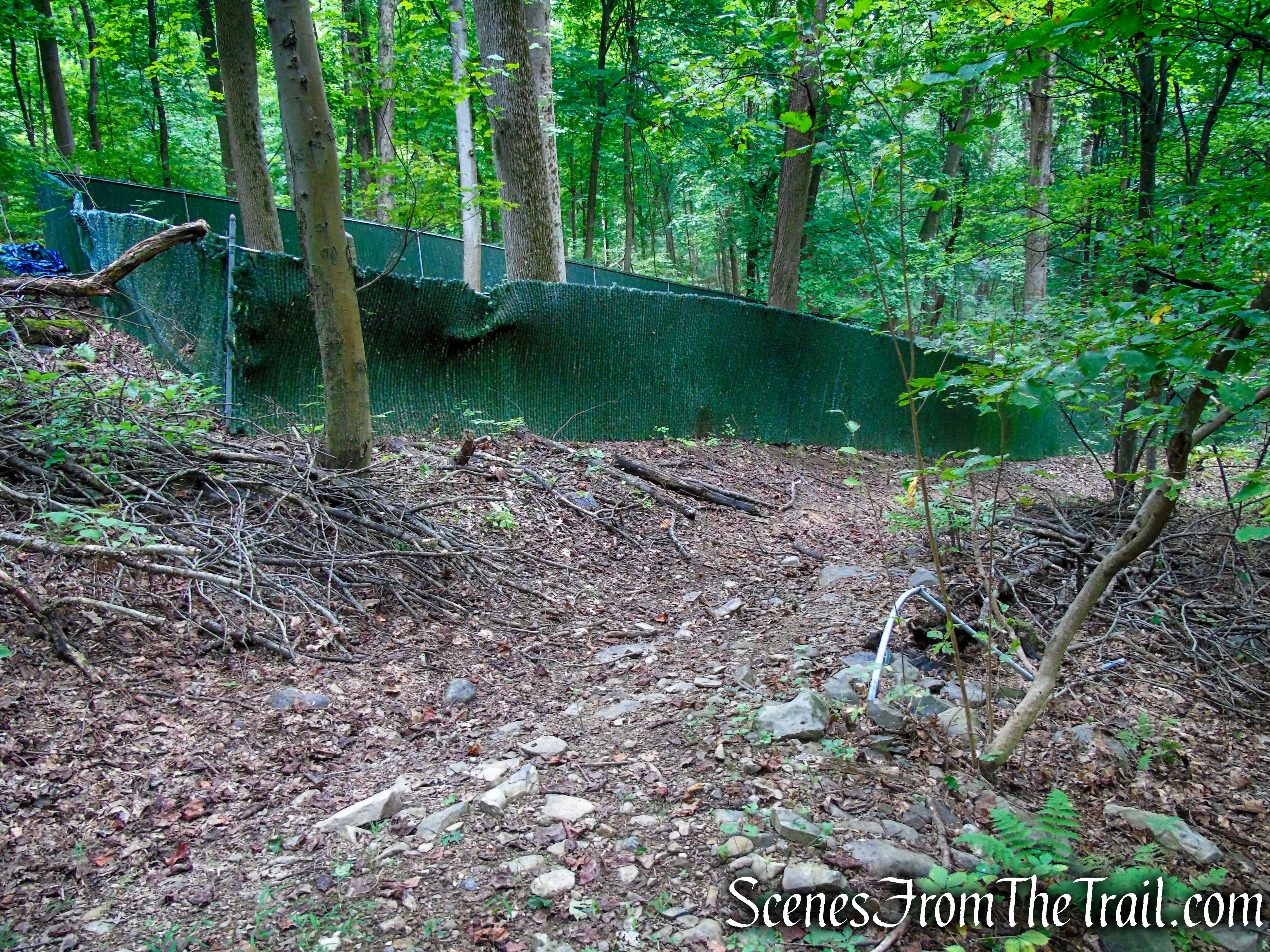 Yellow Trail – Snake Hill