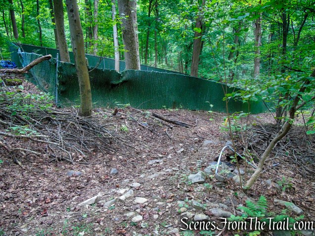 Yellow Trail – Snake Hill