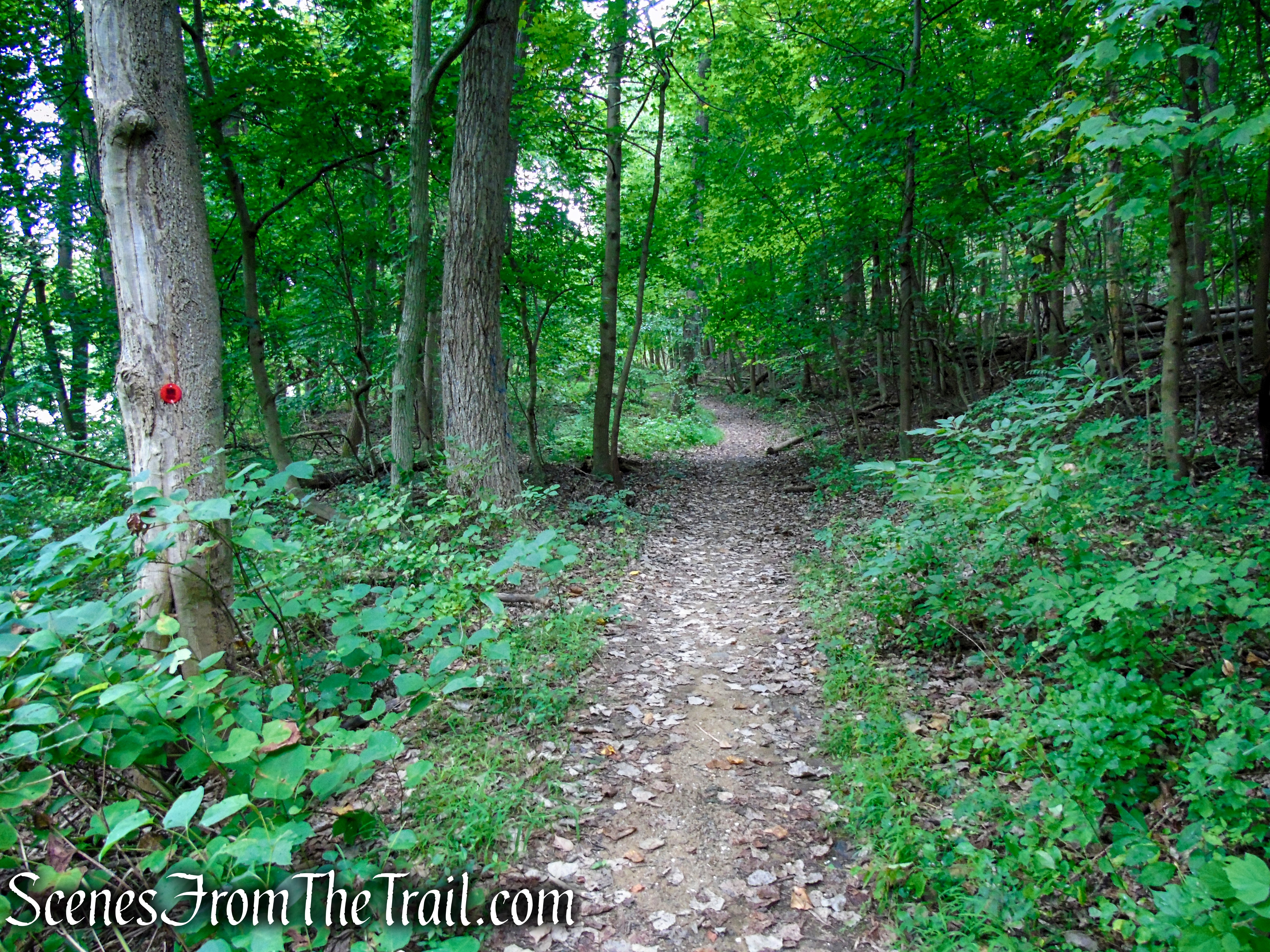 Red Trail – Snake Hill