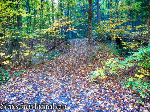 Wide path to the left of the bridge abutments - Spring Glen