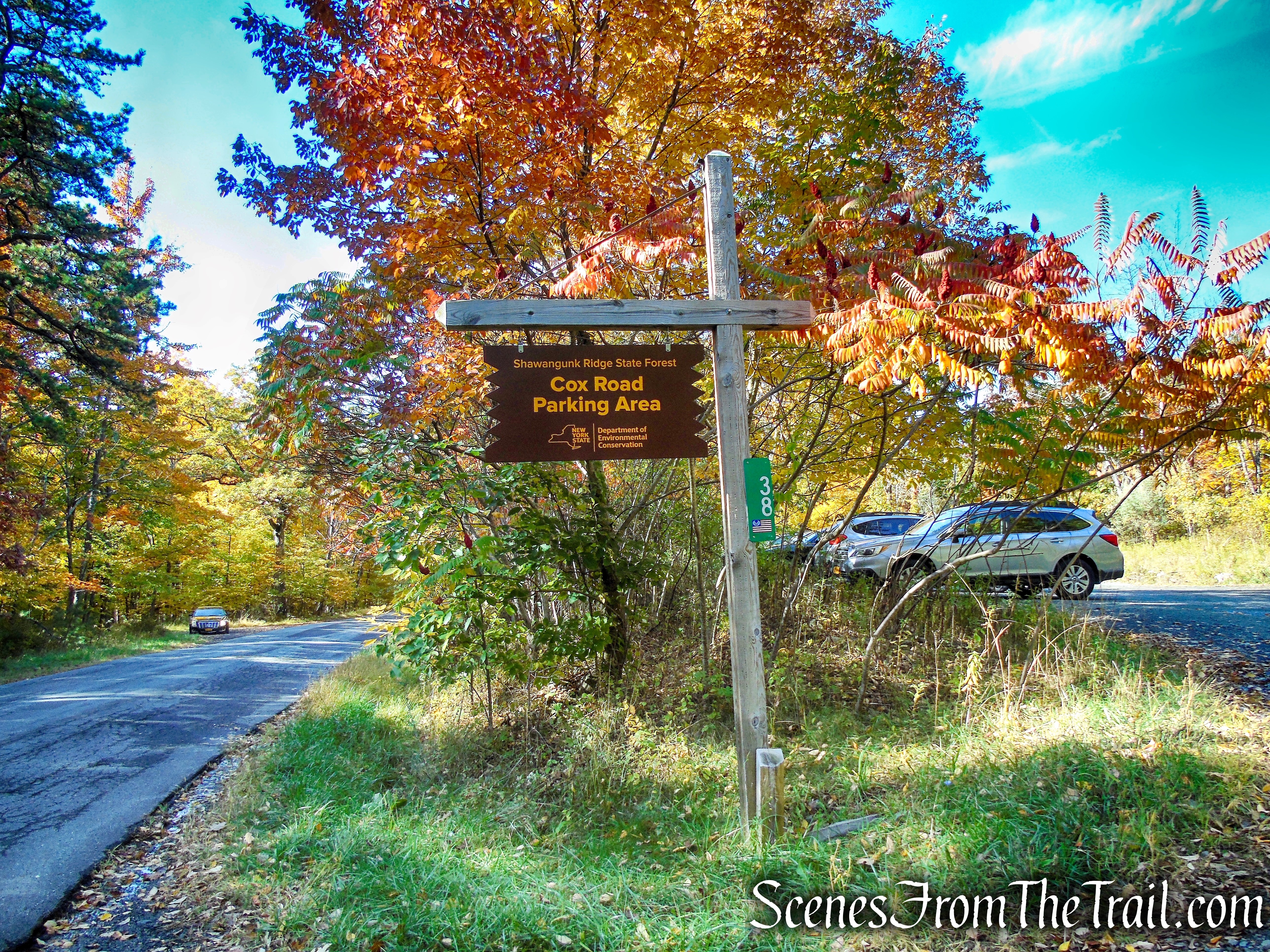 Cox Road Parking Area – Shawangunk Ridge State Forest