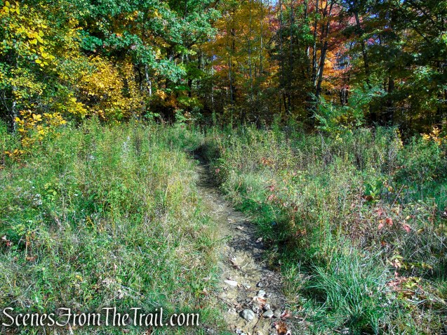 Red Trail - Shawangunk Ridge State Forest