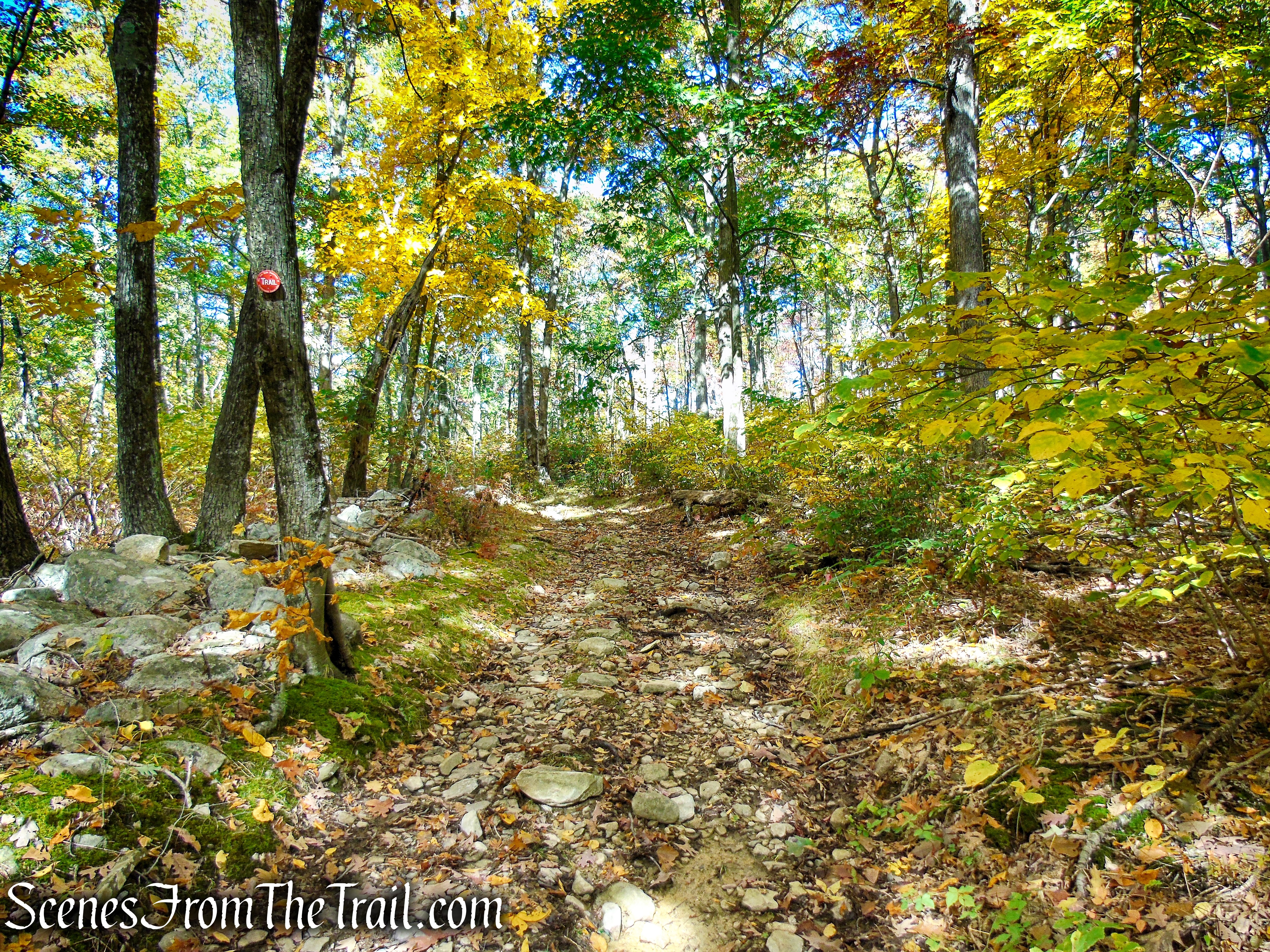 Red Trail - Shawangunk Ridge State Forest