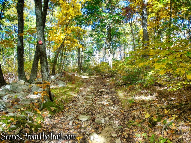 Red Trail - Shawangunk Ridge State Forest