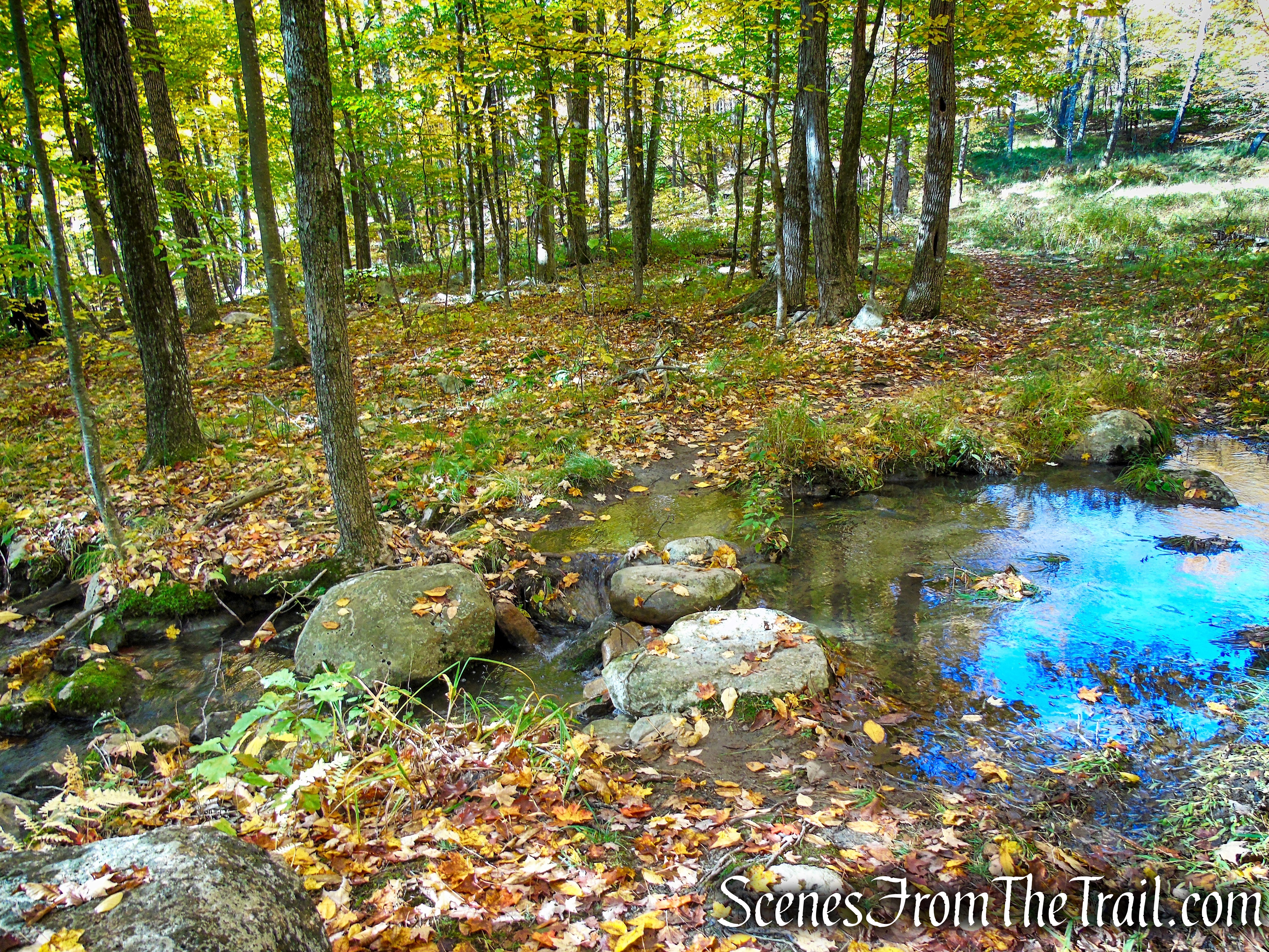 Red Trail - Shawangunk Ridge State Forest