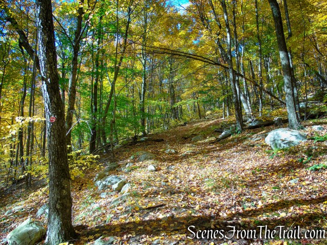 Red Trail - Shawangunk Ridge State Forest