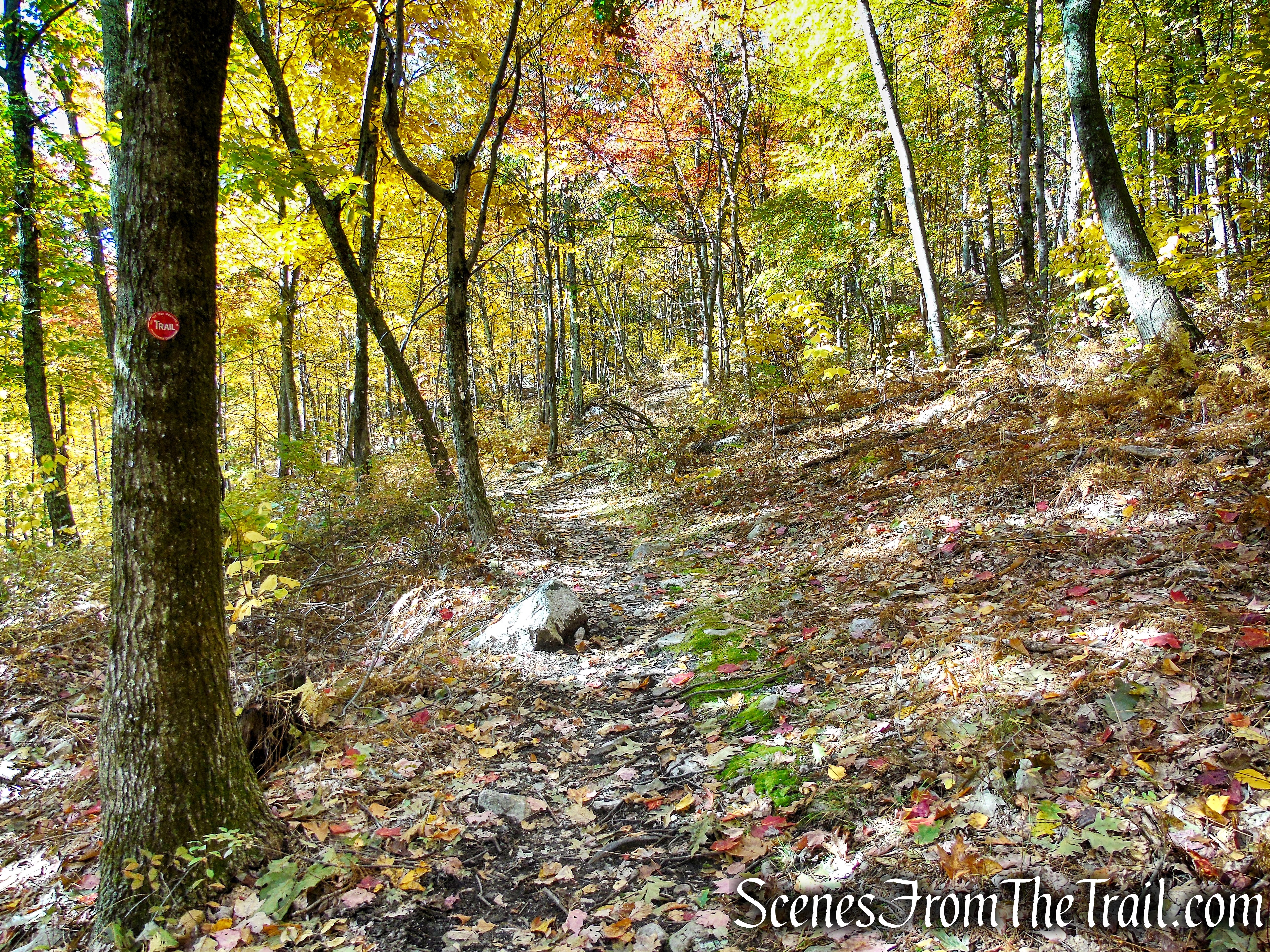 Red Trail - Shawangunk Ridge State Forest