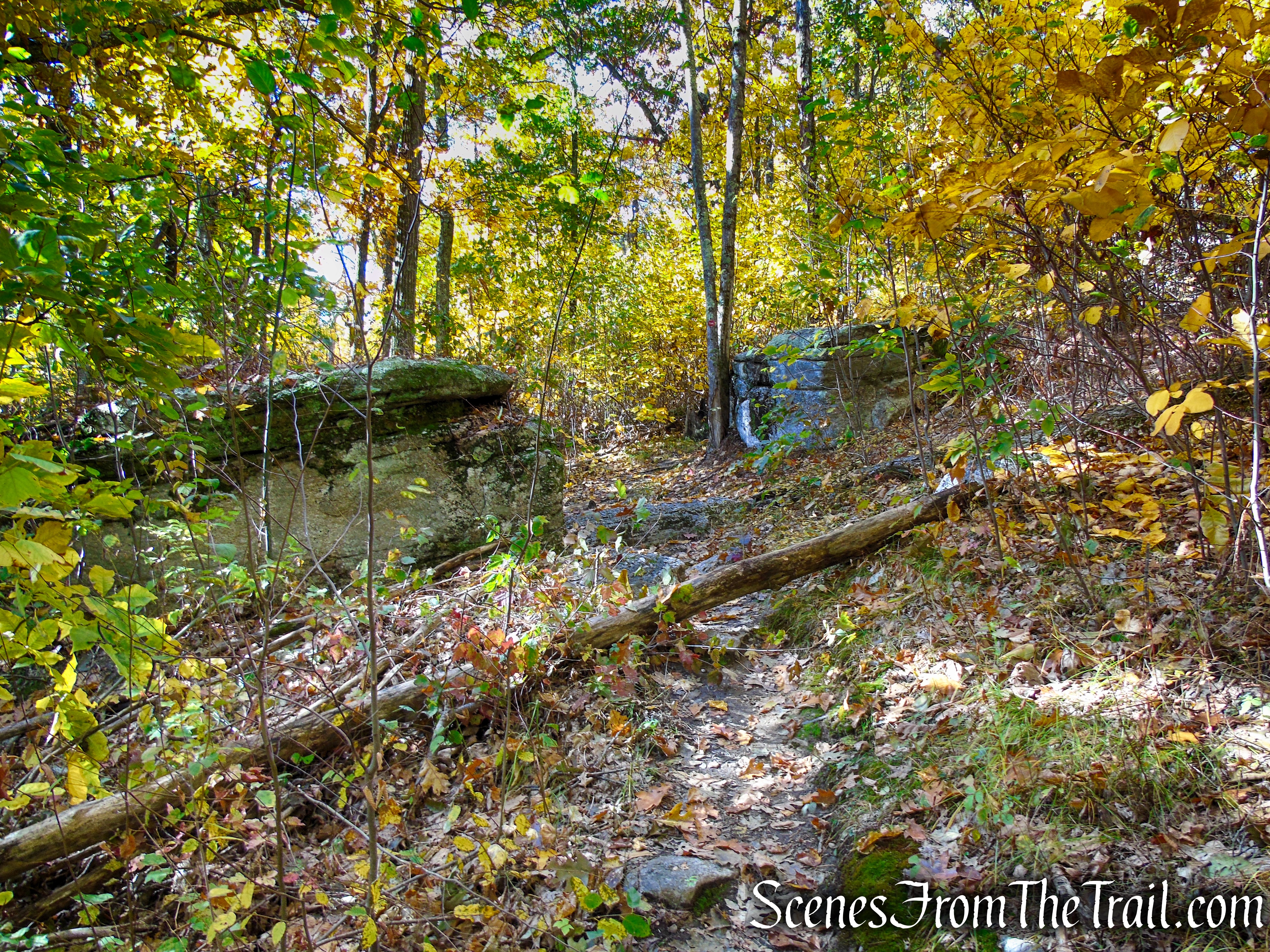 Red Trail - Shawangunk Ridge State Forest