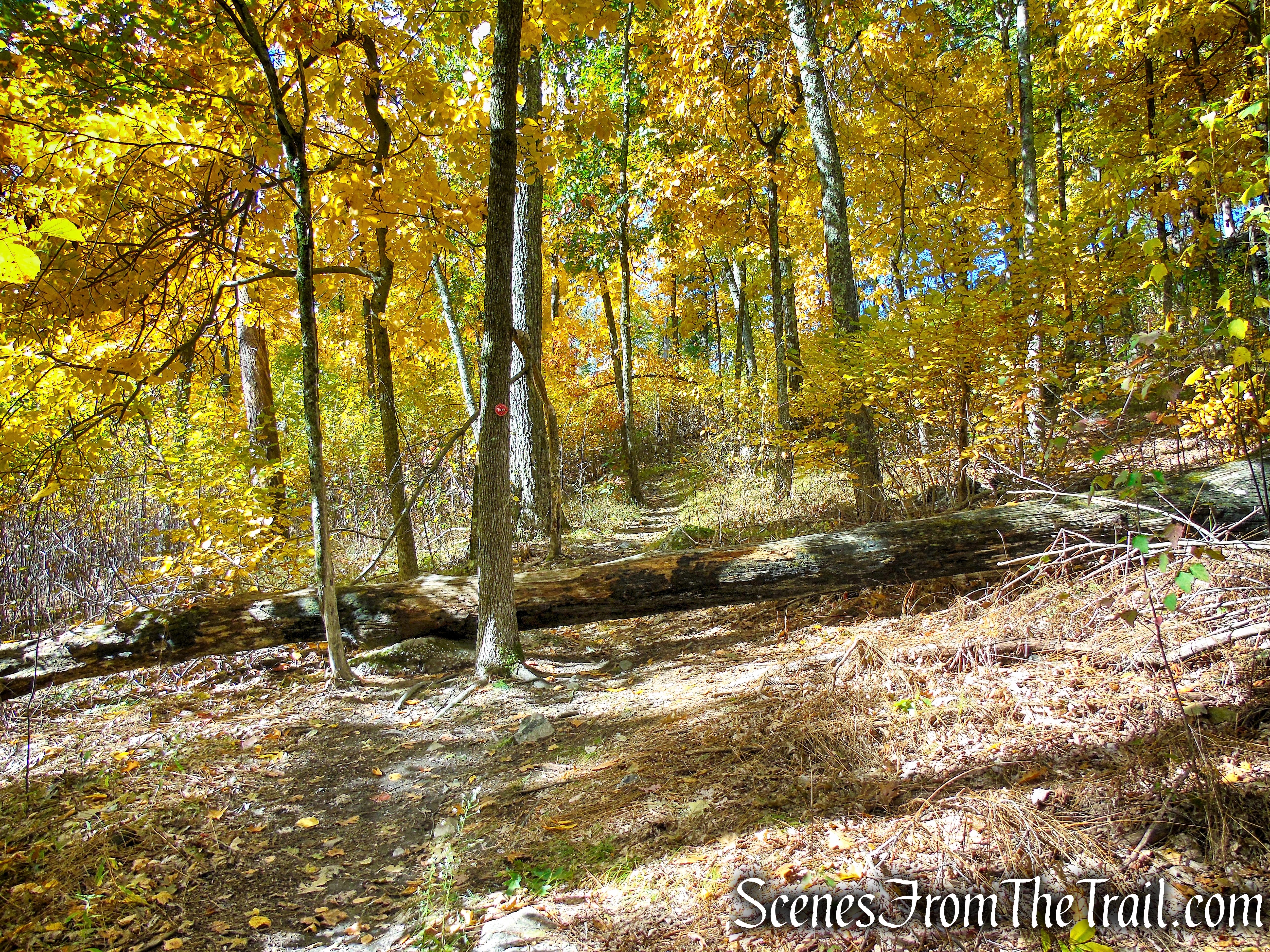 Red Trail - Shawangunk Ridge State Forest