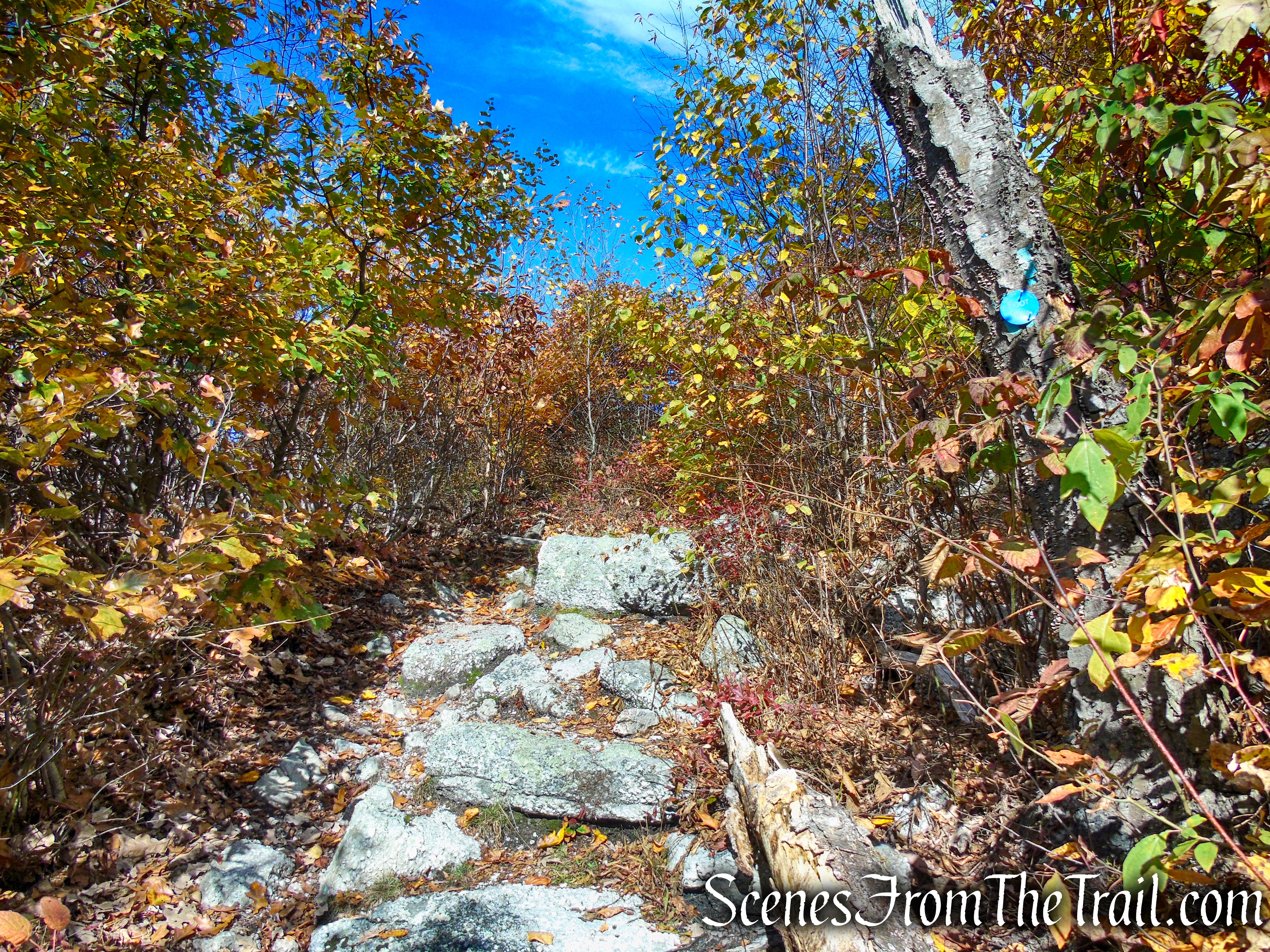 Long Path/Shawangunk Ridge Trail - Shawangunk Ridge State Forest