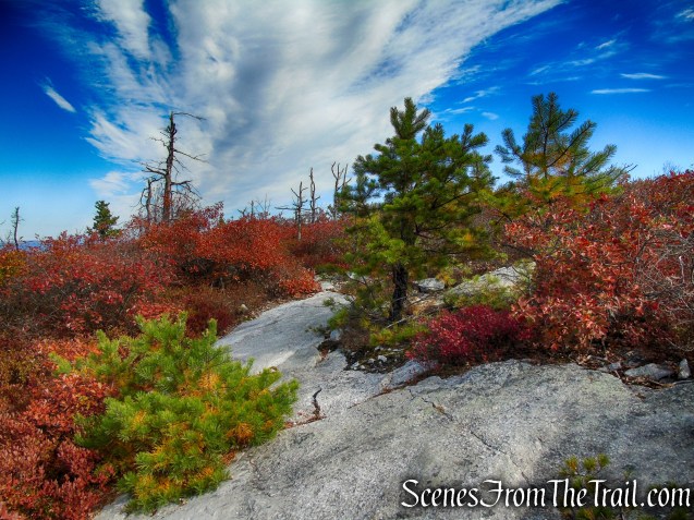 Long Path/Shawangunk Ridge Trail - Shawangunk Ridge State Forest