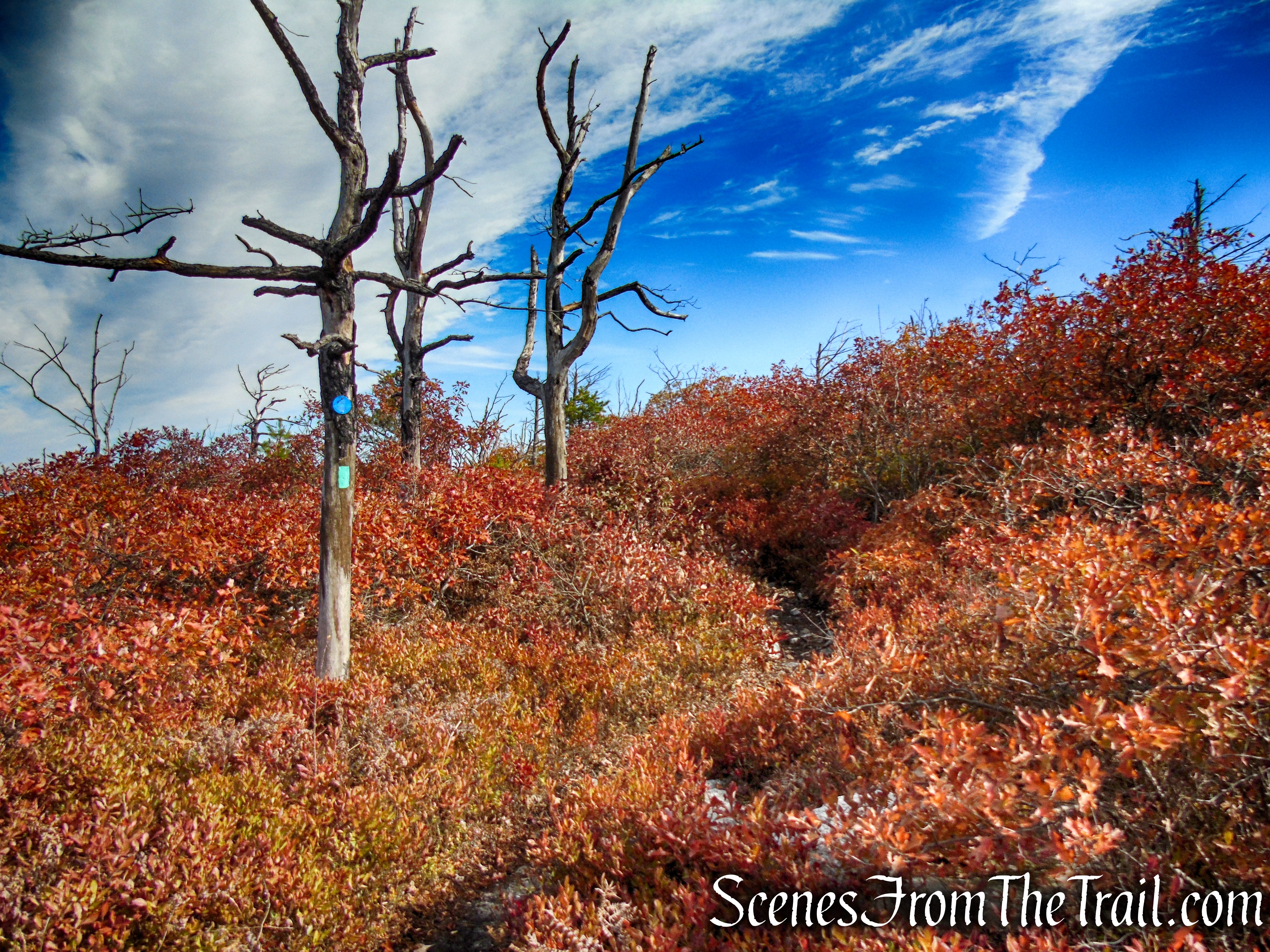 Long Path/Shawangunk Ridge Trail - Shawangunk Ridge State Forest