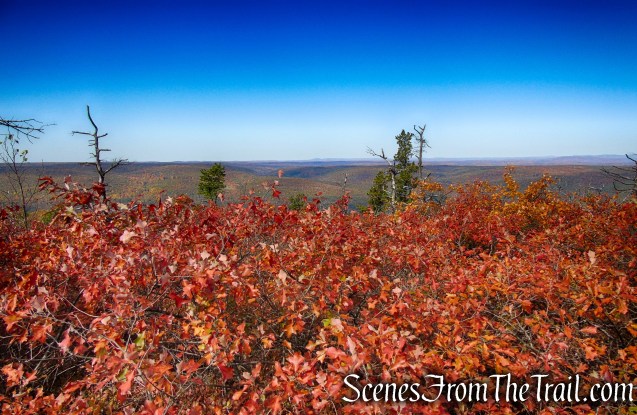 Long Path/Shawangunk Ridge Trail - Shawangunk Ridge State Forest