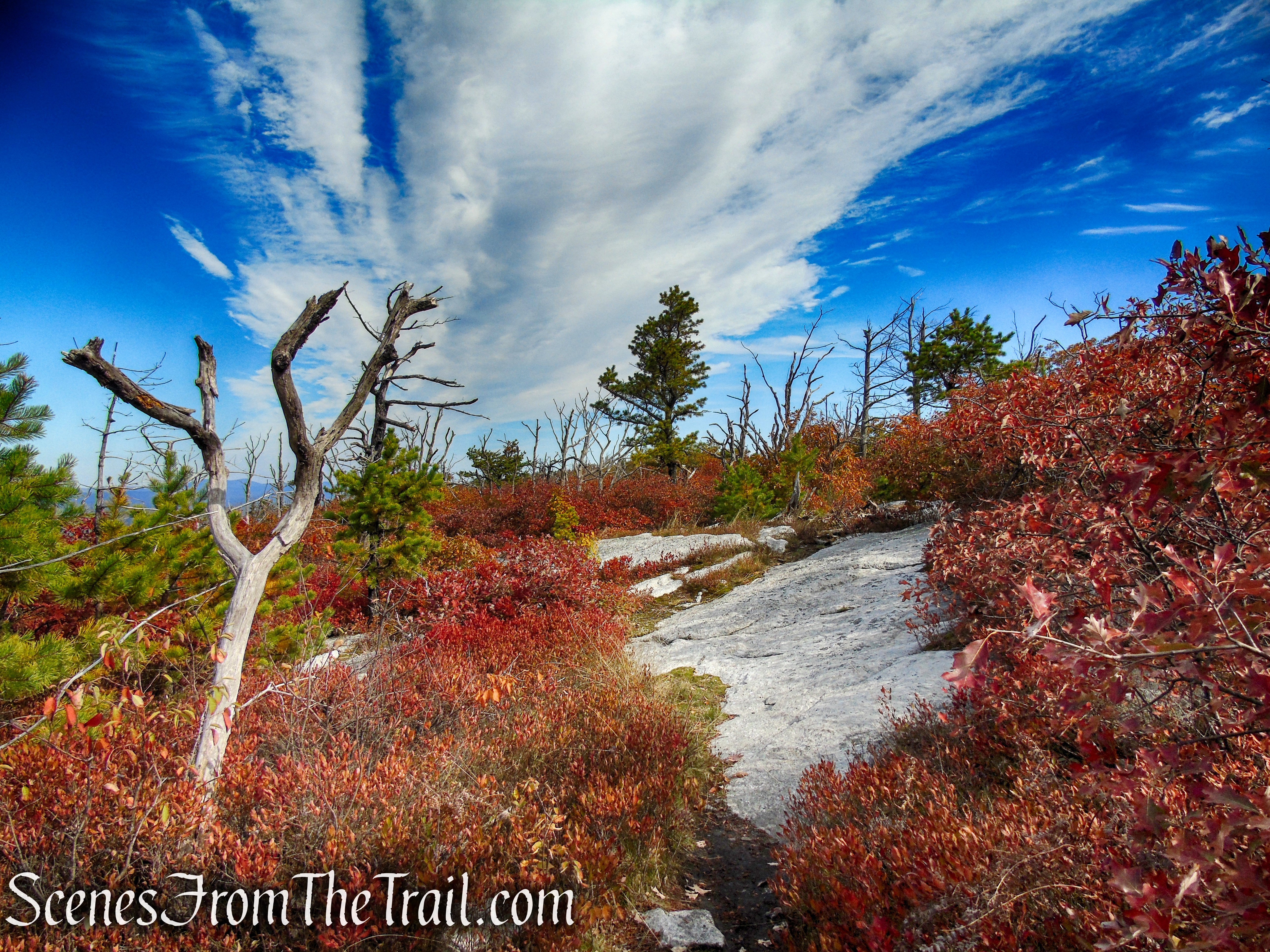 Long Path/Shawangunk Ridge Trail - Shawangunk Ridge State Forest